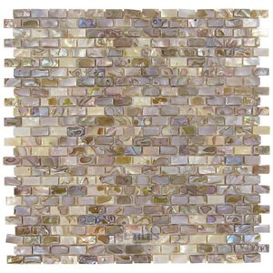 Stellar Tile - Conchella - 1/2" x 1" Shell Mosaic Tile in Perla