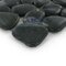 Stellar Tile - River Stone - Pebble & Stone Mosaic Tile in Black