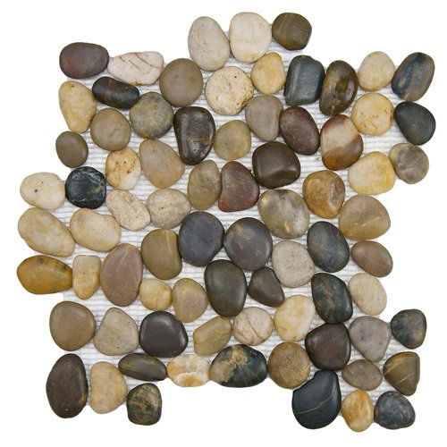 Pebble & Stone Mosaic Tile in Multi