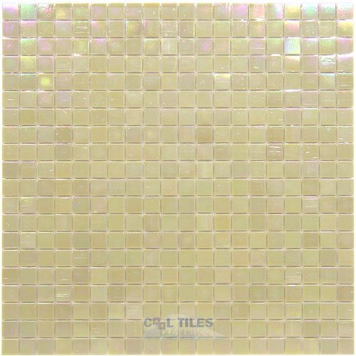 5/8" Glass Film-Faced Sheets in Tender Shell
