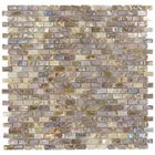 1/2" x 1" Shell Mosaic Tile in Perla